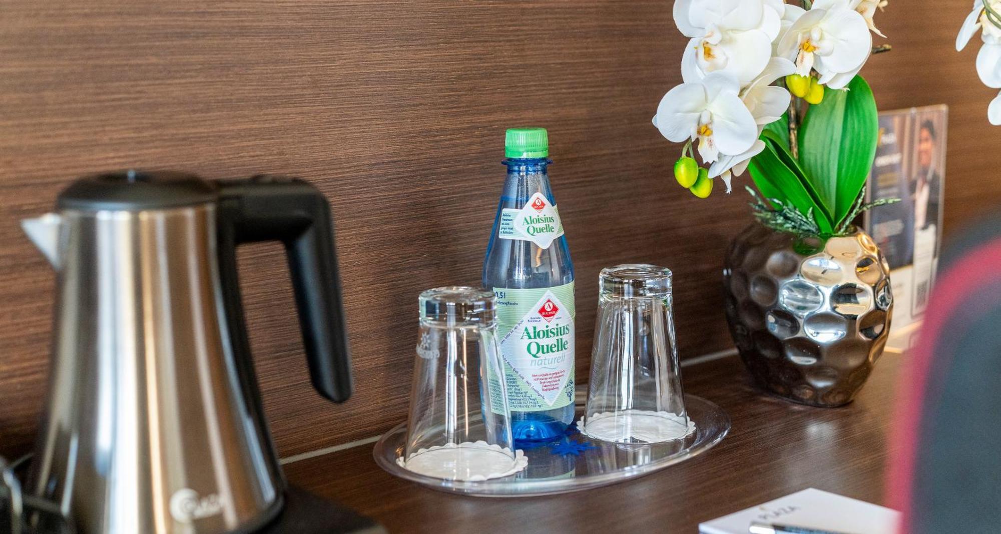 Plaza Föhr Am Bodensee Hotel 4*