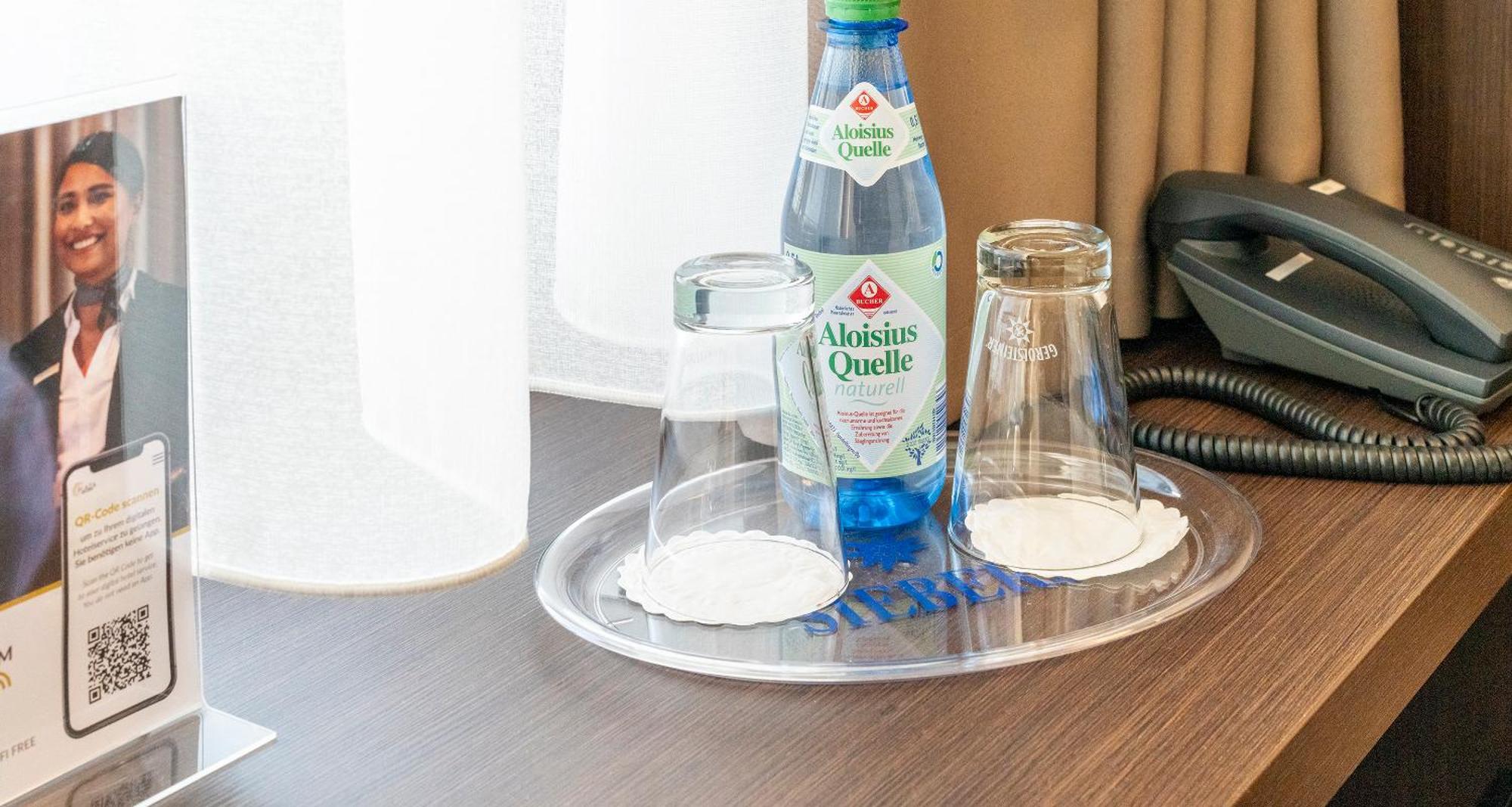 Hotel Plaza Foehr Am Bodensee Friedrichshafen